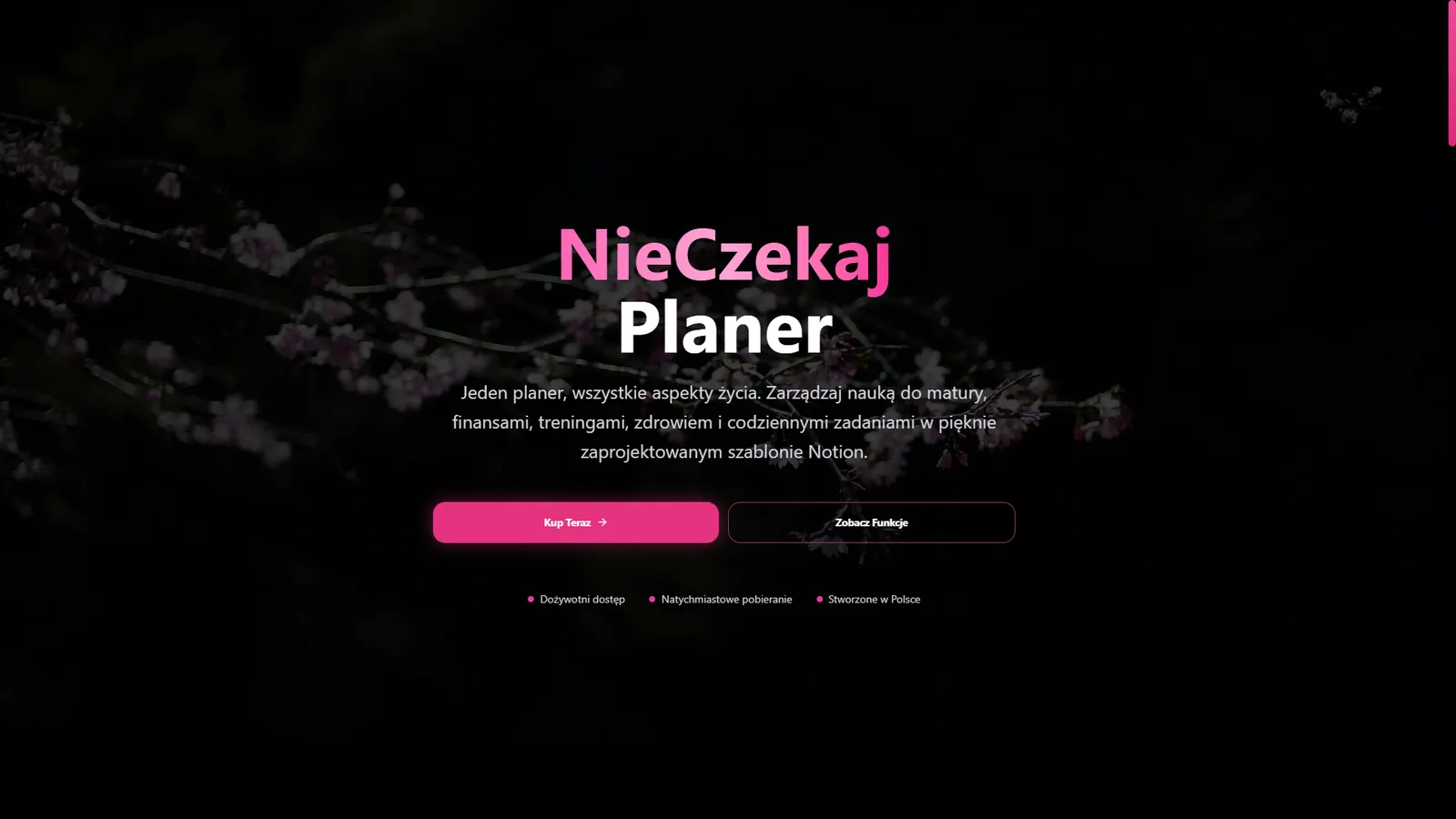 NieCzekaj Planer